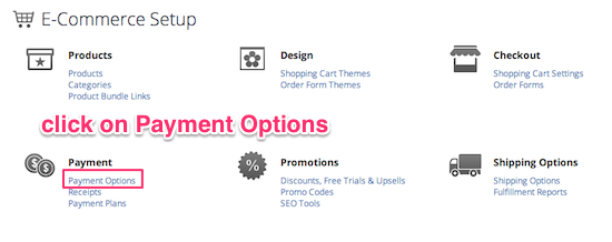 Click on payment options