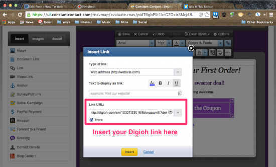 Paste the Digioh Download Link